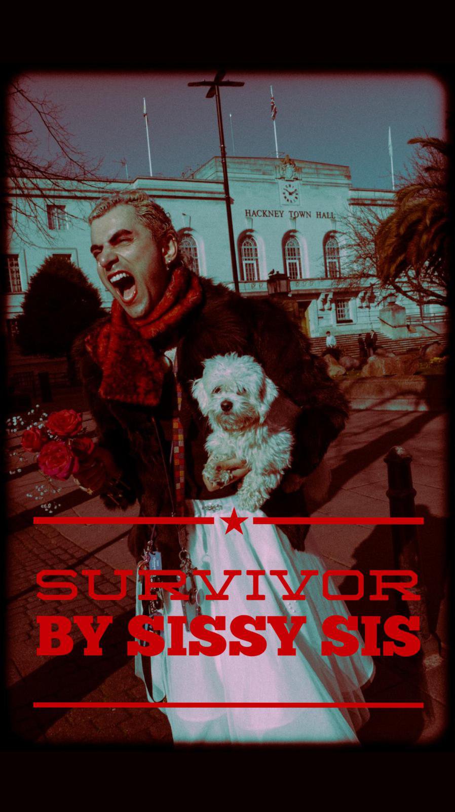 Are You a Survivor? Survivor by Sissy Sis